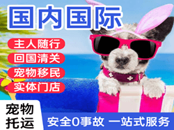 于田万方航空物流国际宠物托运 【国